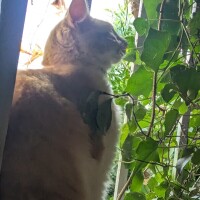 朝の風🍃