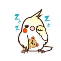 こんばんは🌙