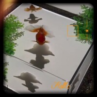 今宵も、涼んでお過ごしくださいね💕