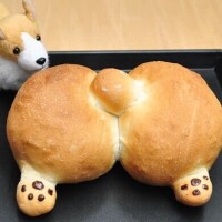菅野