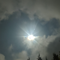 星野