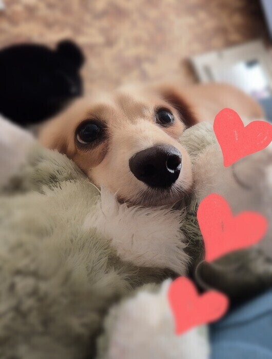 ✨🪷お友達は🪷✨
