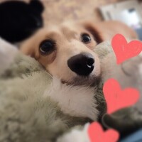 戸郷