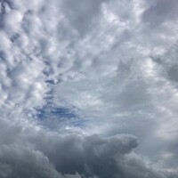 本日の出勤