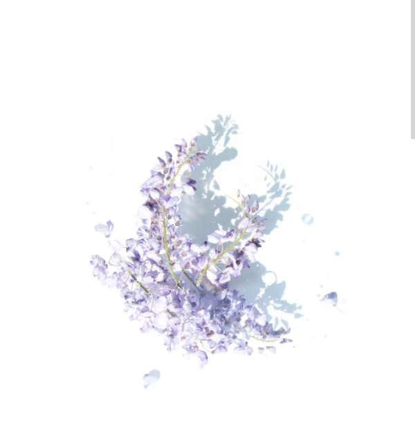 満枠です♡