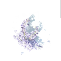 鈴木