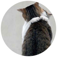 おかえりなさい。