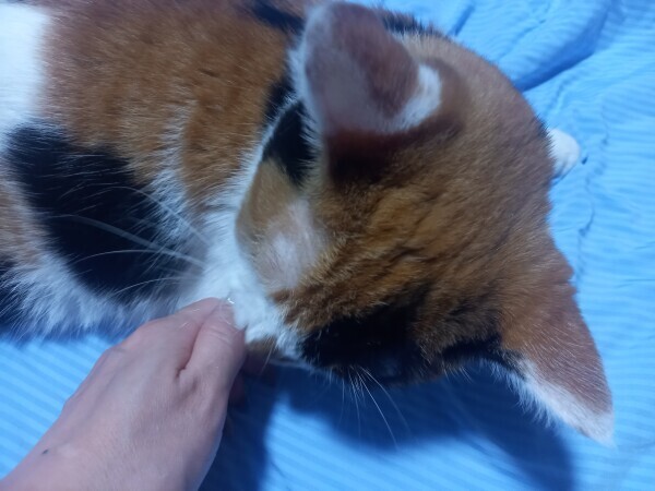 おやすみなさい😴