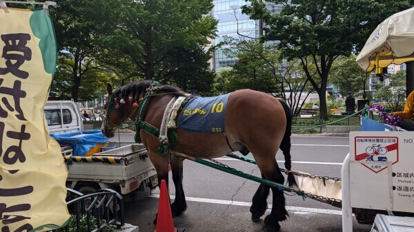 馬Σ( ˙꒳​˙  )