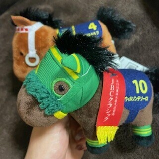 見つけたら！！！