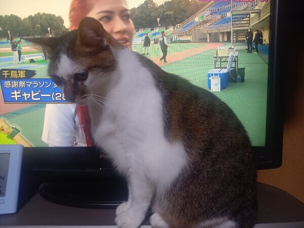 あの～🙀