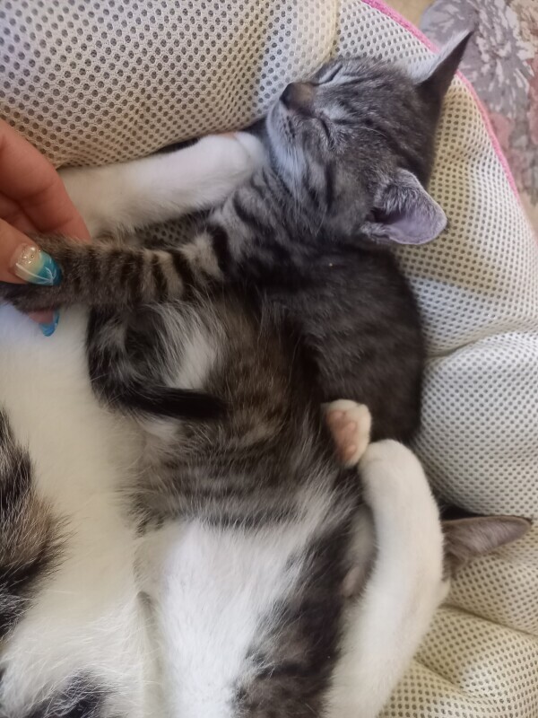 眠い💤😭💤