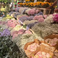 本日もありがとうございました🌸