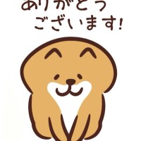昨夜もありがとうございます😊