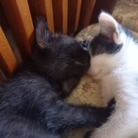 おやすみなさい😴