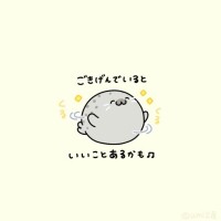 こんにちは😊