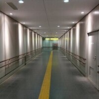 東野