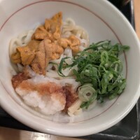 なか卯に雲丹のおうどんがっ🥥