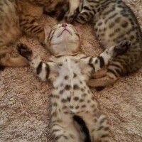 お休み２日目😹
