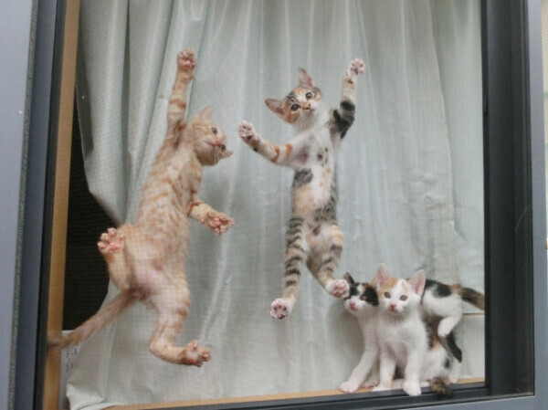 🍀出勤しました🍀