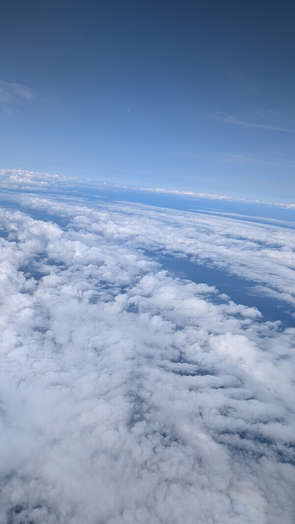 ありがとうございました🍠