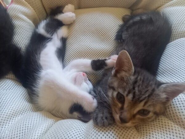 おはようございます☀️