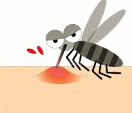 秋の蚊にご注意⚠️