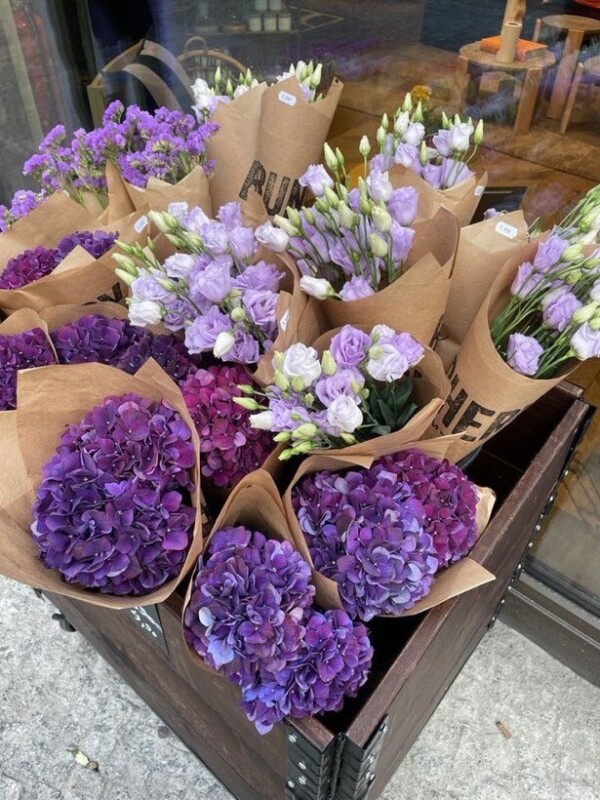image0.jpeg