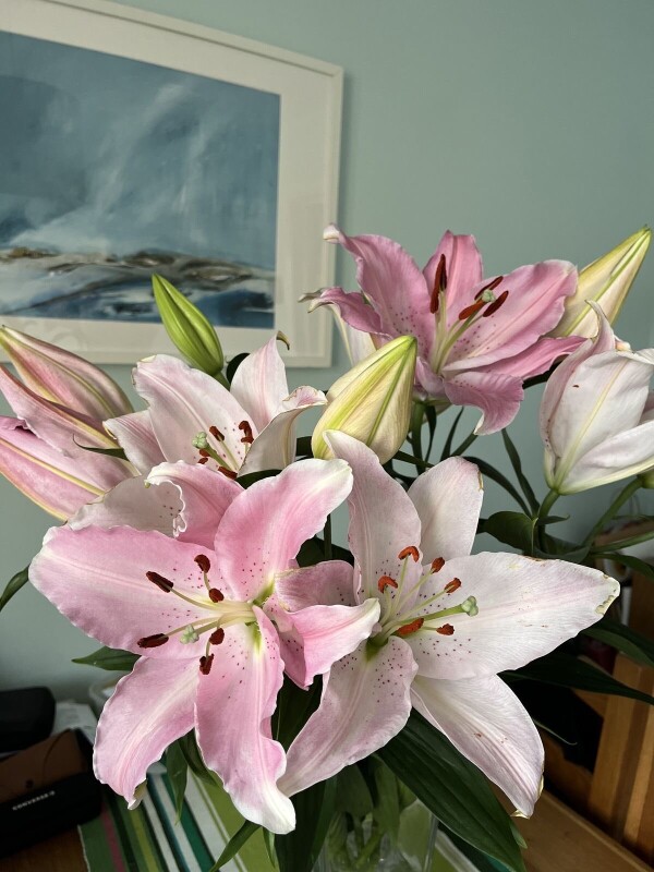 image0.jpeg