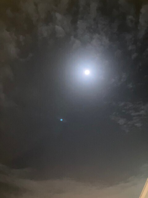 image1.jpeg