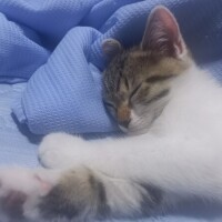 おはようございます🌤️