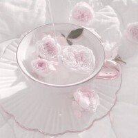 ❤︎