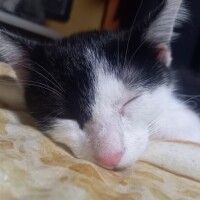 寒いね～🙀