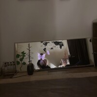こんにちは🕊️♡