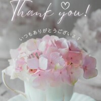Sｻﾏ•*¨*•.¸♬︎