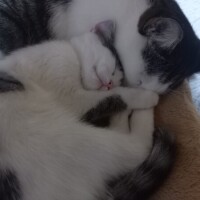 ゴミ出し完了😸