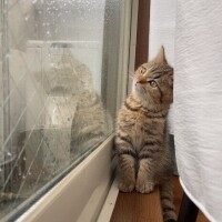 🎃おはようございます🎃