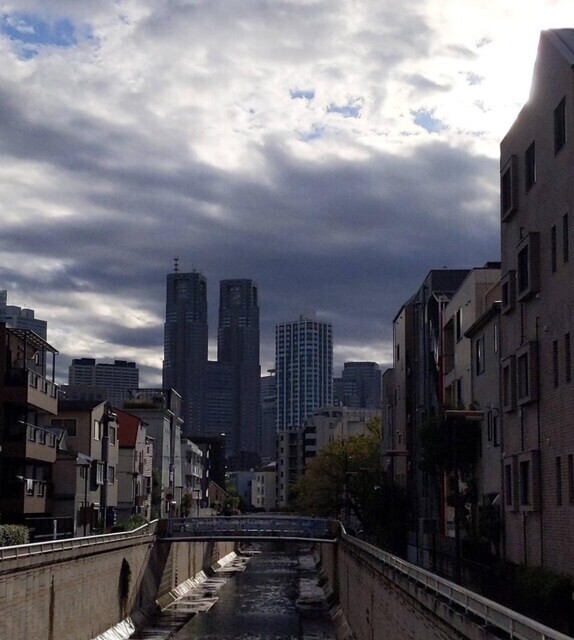 やっと天気回復\( ´˘`)/