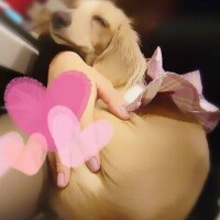 ✨🪷向かいます🪷✨
