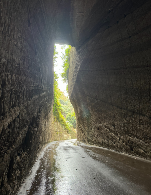 🎃先日千葉に素敵なトンネルみつけました🎃