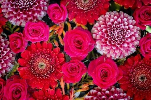 ありがとうございました♥️