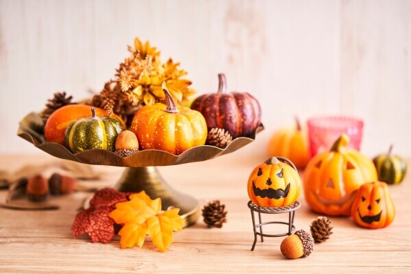 🍀出勤しました🍀