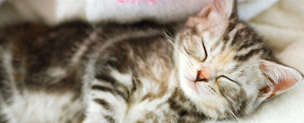 次回 出勤は30日㈭