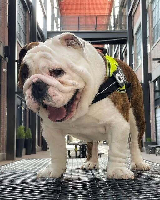 過ごしやすいですね〜🍁