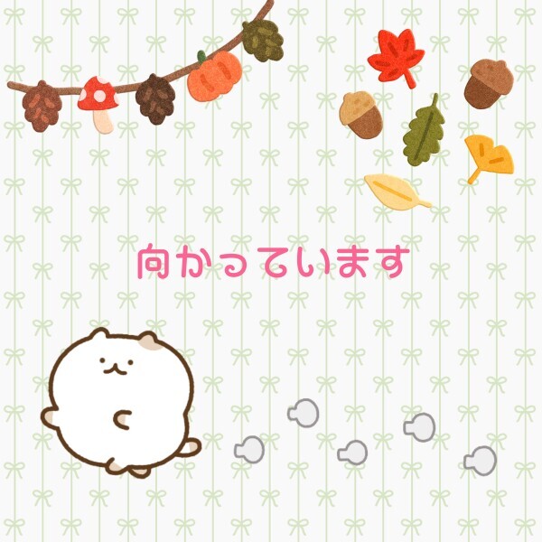 こんばんは⭐️