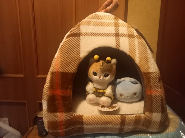 ペットハウス😹🏘️