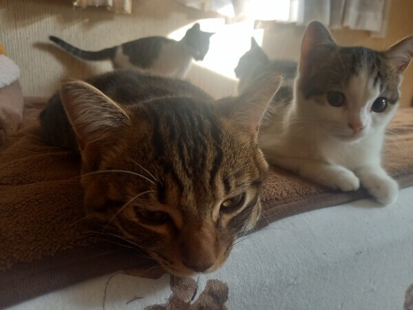 ゴミ出し完了🥶