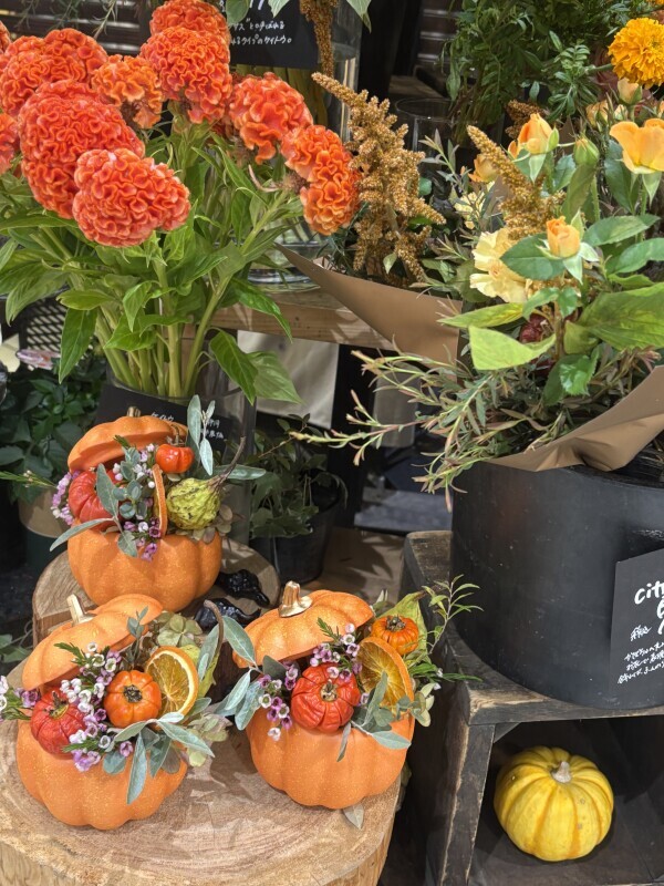 (木)お昼から出勤です🤗