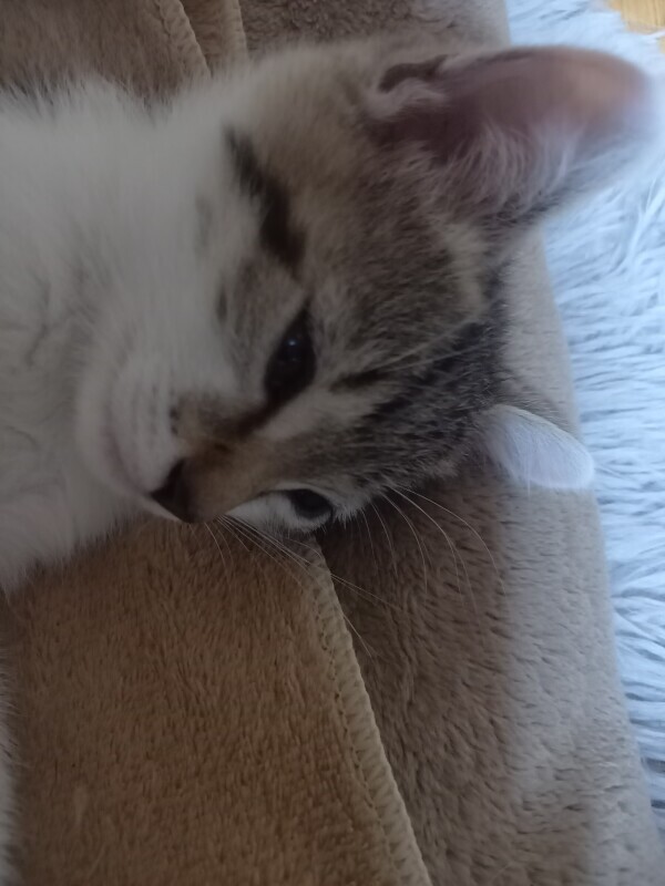 お休み2日目☀️