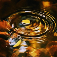 懐かしの名曲♫